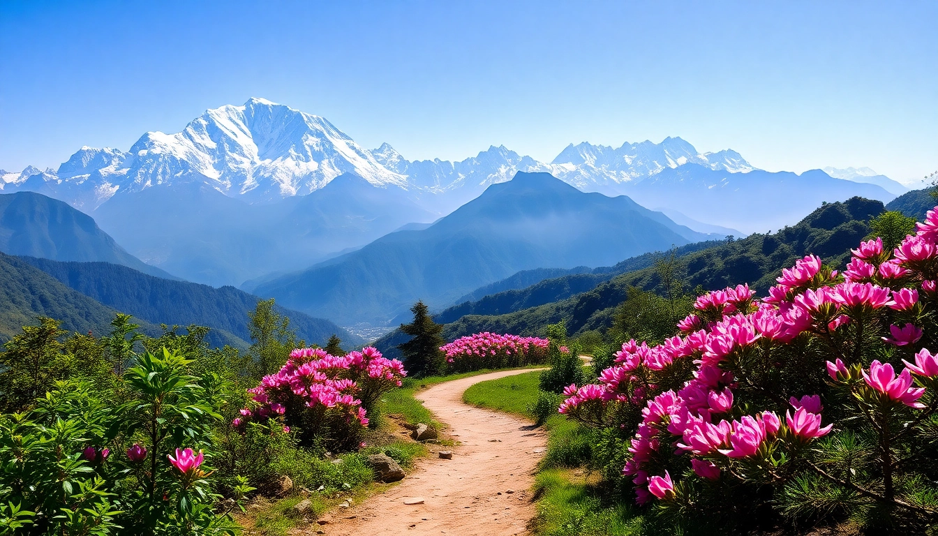 Annapurna Circuit Trek landscape with trails and snow-capped mountains under bright sunlight.