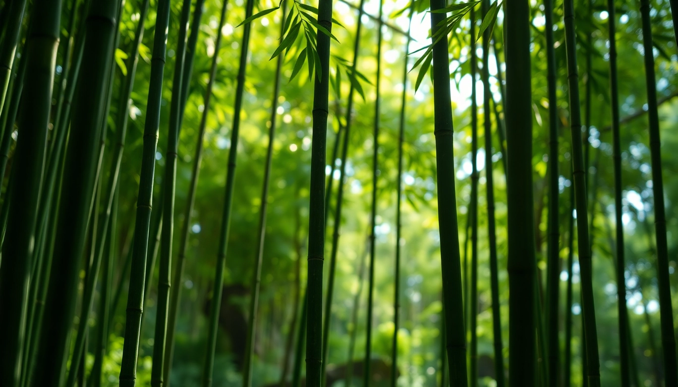 View of bamboo stalks standing tall, showcasing their green beauty and tranquil atmosphere.